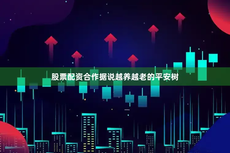 股票配资合作据说越养越老的平安树