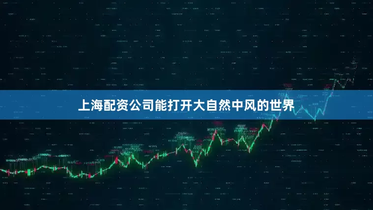 上海配资公司能打开大自然中风的世界