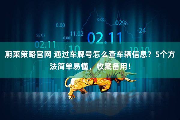 蔚莱策略官网 通过车牌号怎么查车辆信息？5个方法简单易懂，收藏备用！